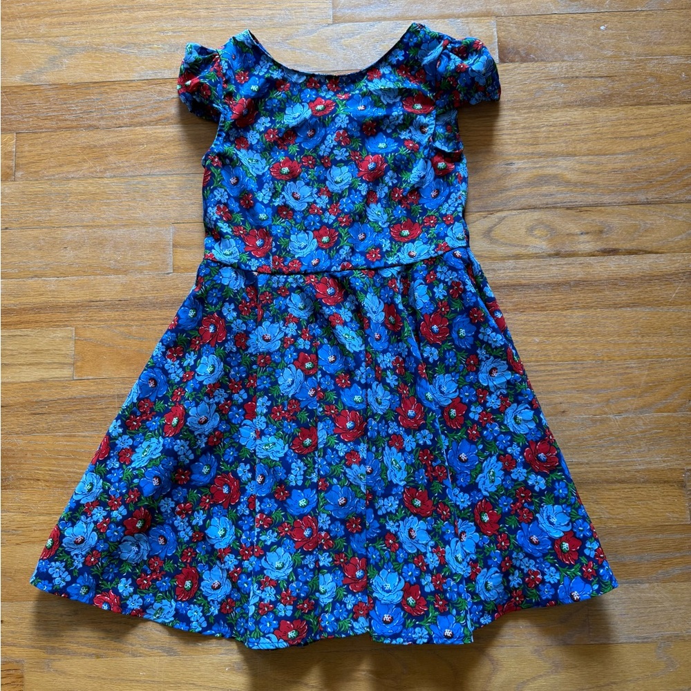 Polo by Ralph Lauren Blue and Red Floral Kids Dress